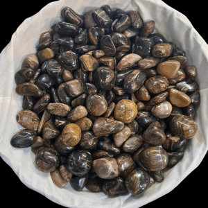 Stromatolite (primordial heart)